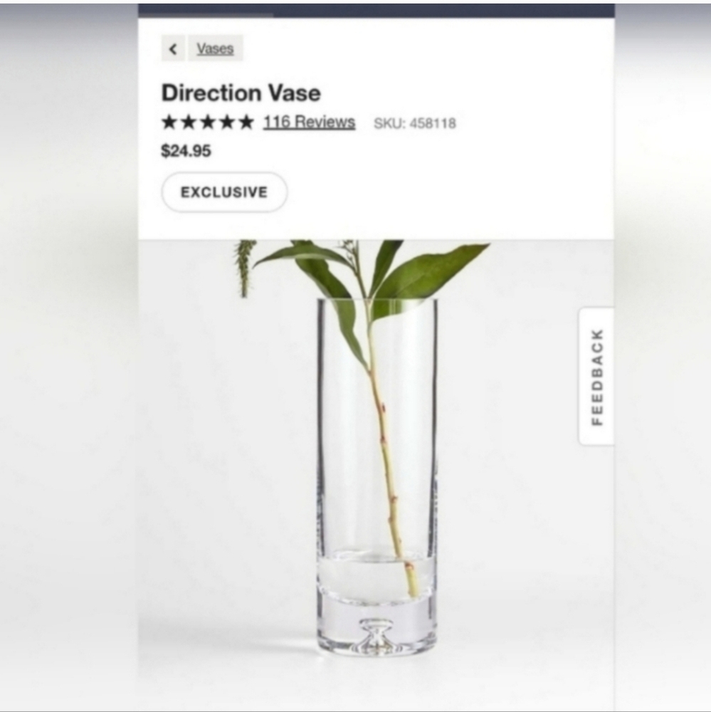 Crate and Barrel  Glass Vase